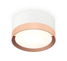 Потолочный светильник Ambrella Light Techno Spot XS8101006 (C8101, N8126)