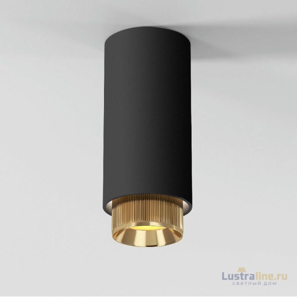 Накладной светильник Elektrostandard Nubis 4690389200090 25012/01 a064788