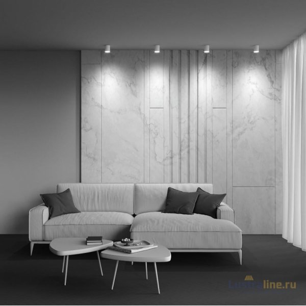 Накладной светильник Maytoni Polar C088CL-GX53-W