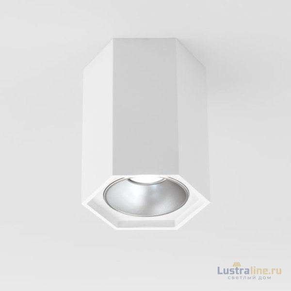 Накладной светодиодный светильник Elektrostandard 25036/LED 4690389176487