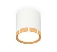 Потолочный светильник Ambrella Light Techno Spot XS8141004 (C8141, N8124)