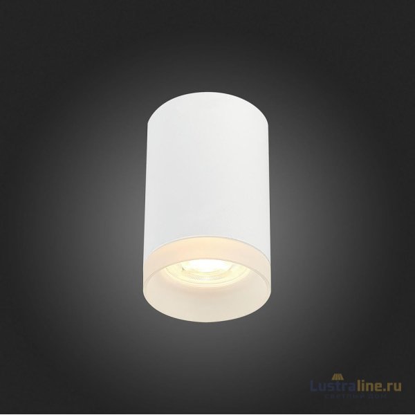 Накладной светильник ST Luce ST100 ST100.502.01 Накладной светильник ST Luce ST100 ST100.502.01