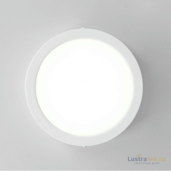 Накладной светильник Citilux Галс CL5516N Накладной светильник Citilux Галс CL5516N