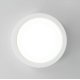 Накладной светильник Citilux Галс CL5516N