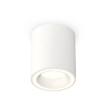Потолочный светильник Ambrella Light Techno Spot XS7421020 (C7421, N7110)