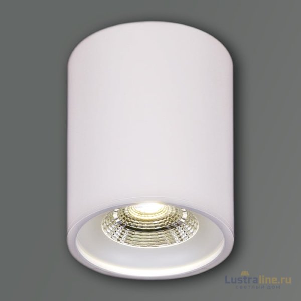 Накладной светильник Reluce 81117-9.5-001RT LED10W WT Накладной светильник Reluce 81117-9.5-001RT LED10W WT
