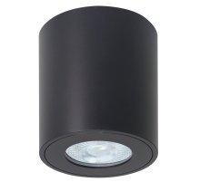 Накладной светильники Arte Lamp Tino A1469PL-1BK