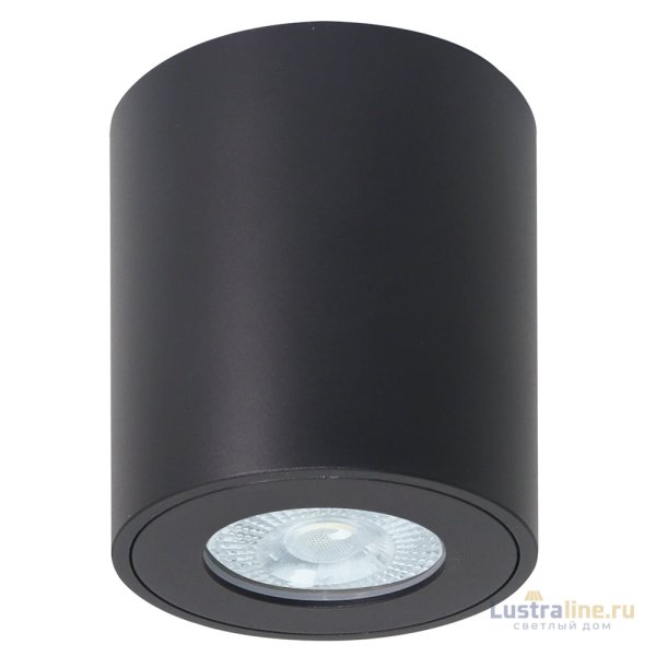 Накладной светильники Arte Lamp Tino A1469PL-1BK
