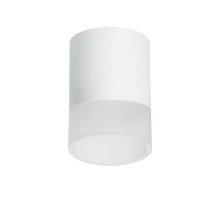 Накладной светильник Lightstar Rullo (213486+202481) R348681