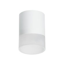 Накладной светильник Lightstar Rullo (213486+202481) R348681