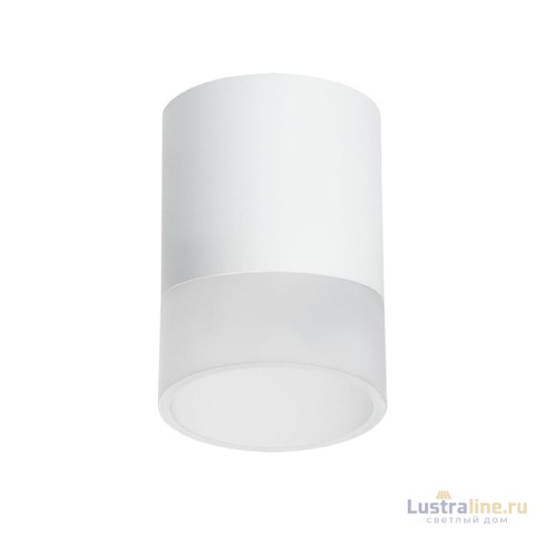 Накладной светильник Lightstar Rullo (213486+202481) R348681 Накладной светильник Lightstar Rullo (213486+202481) R348681