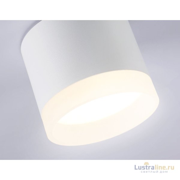 Накладной светильник Ambrella Light Acrylic Frost TN5365 Накладной светильник Ambrella Light Acrylic Frost TN5365