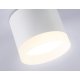 Накладной светильник Ambrella Light Acrylic Frost TN5365