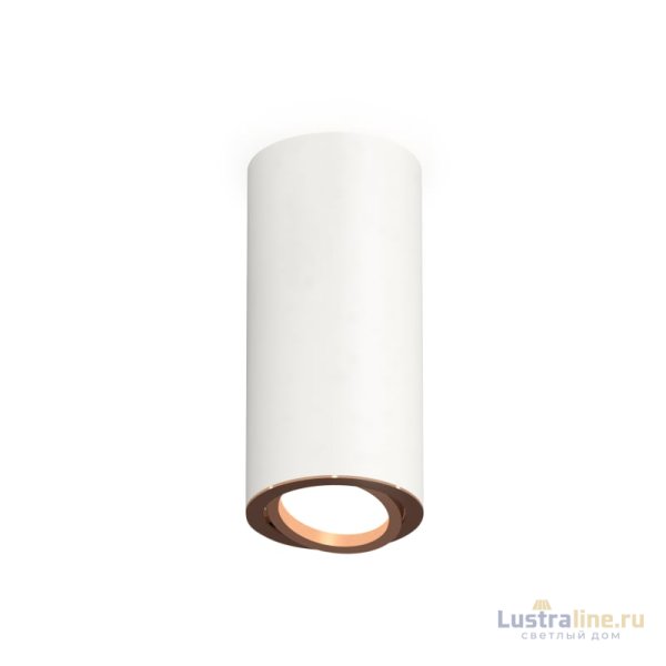 Накладной поворотный светильник Ambrella Light Techno XS7442005 (C7442, N7005)