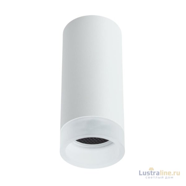 Накладной светильник Arte Lamp Ogma A5556PL-1WH
