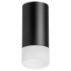 Накладной светильник Lightstar Rullo R43731 (214437+202431)