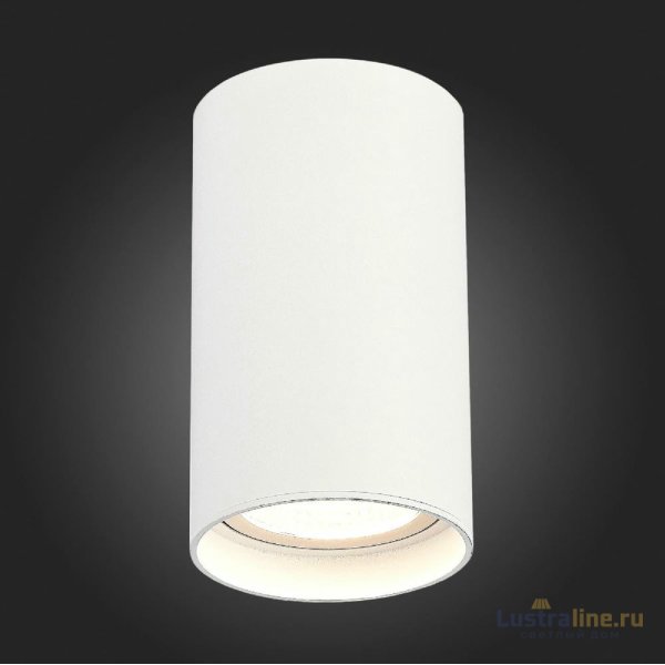 Накладной светильник ST Luce ST157.542.20 Накладной светильник ST Luce ST157.542.20
