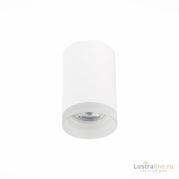 Накладной светильник ST Luce ST100 ST100.502.01 Накладной светильник ST Luce ST100 ST100.502.01