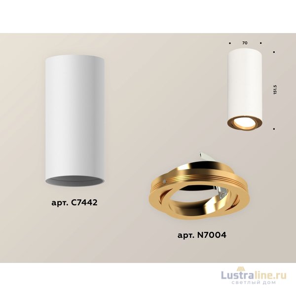 Накладной поворотный светильник Ambrella Light Techno XS7442004 (C7442, N7004)