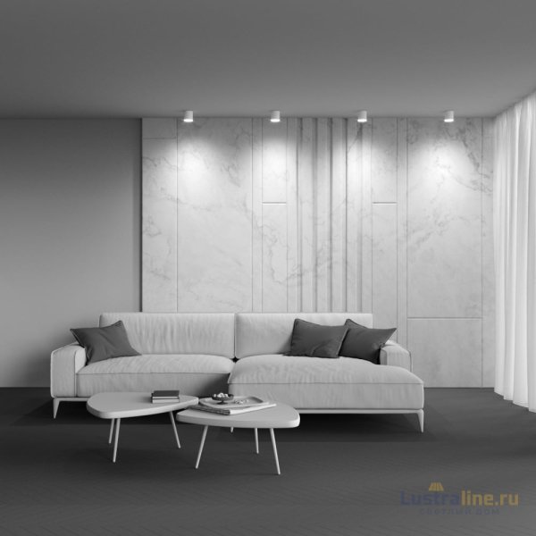 Накладной светильник Maytoni Polar C088CL-GX53-W
