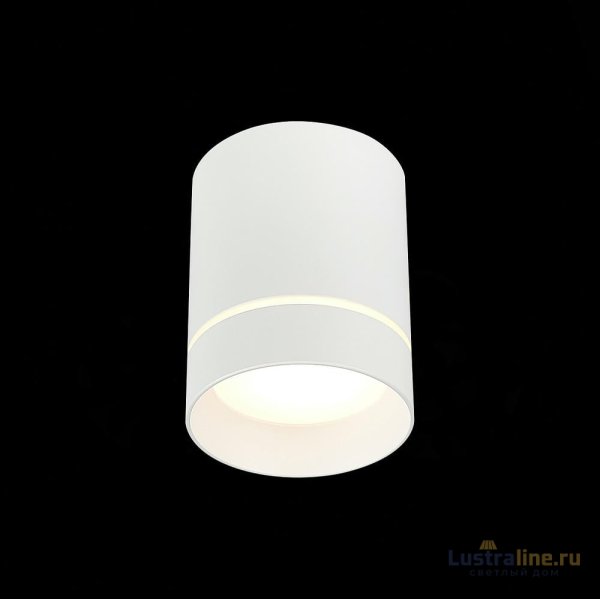Накладной светильник ST Luce ST115 ST115.542.12 Накладной светильник ST Luce ST115 ST115.542.12