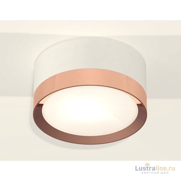 Потолочный светильник Ambrella Light Techno Spot XS8101006 (C8101, N8126) Потолочный светильник Ambrella Light Techno Spot XS8101006 (C8101, N8126)