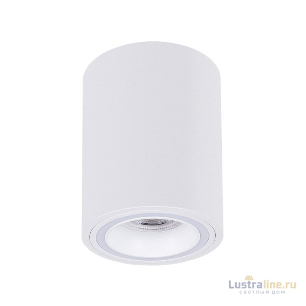 Накладной светильник Arte Lamp Imai A2267PL-1WH