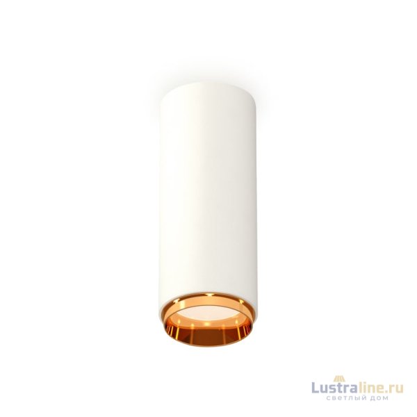 Потолочный светильник Ambrella Light Techno Spot XS6342005 (C6342, N6124)