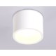 Накладной светильник Ambrella Light IP Protect TN6550