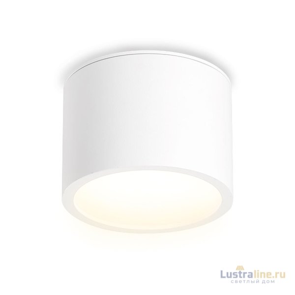 Накладной светильник Ambrella Light IP Protect TN6550