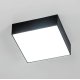 Накладной светильник Citilux Тао CL712X122N