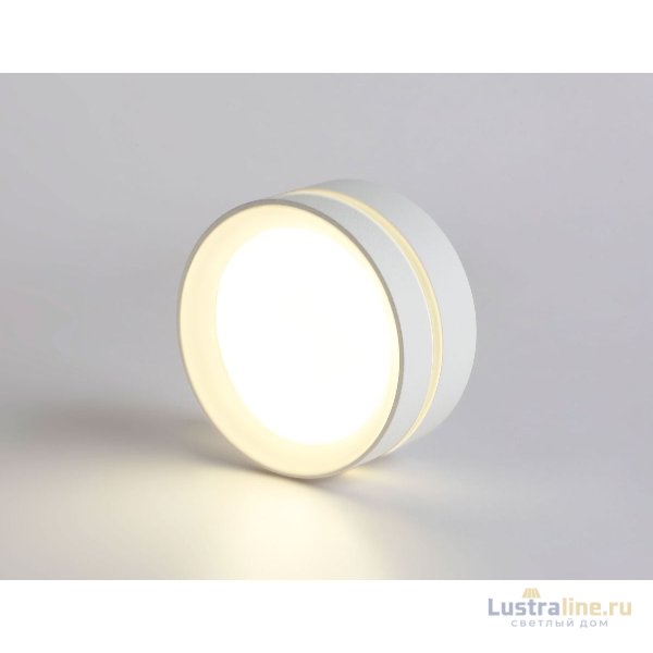 Накладной светильник Ambrella Light IP Protect TN5391