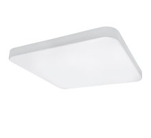 Потолочный светодиодный светильник Lightstar Arco 226202