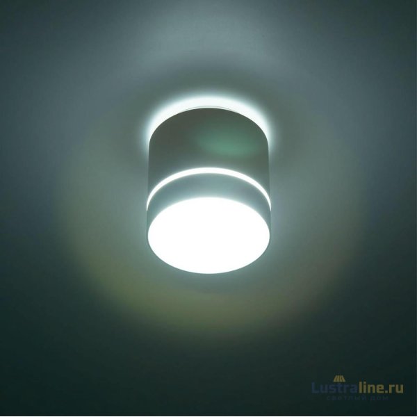 Накладной светильник Citilux Борн CL745020N