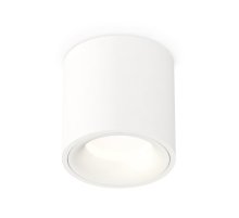 Потолочный светильник Ambrella Light Techno Spot XS7531020 (C7531, N7010)