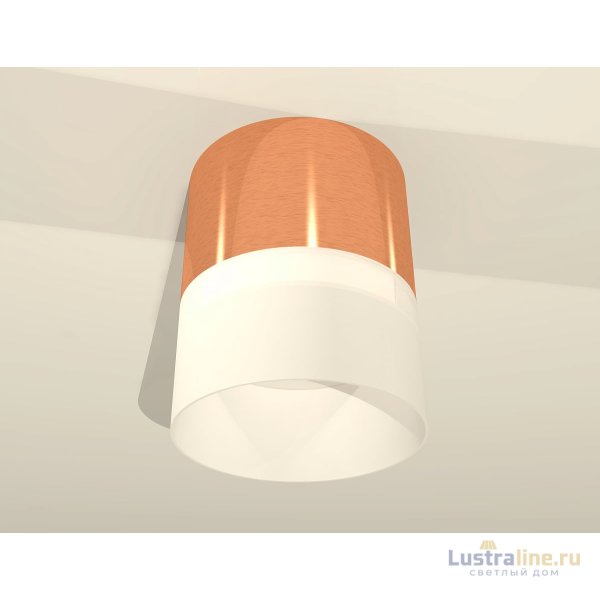 Потолочный светильник Ambrella Light Techno Spot XS8122011 (C8122, N8402)