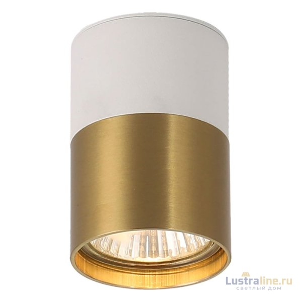 Накладной светильник Lussole Gilbert LSP-8830 Накладной светильник Lussole Gilbert LSP-8830