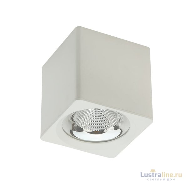 Накладной светильник Fiberli CH-SD230-1 12120102 Накладной светильник Fiberli CH-SD230-1 12120102
