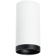 Накладной светильник Lightstar Rullo R64863487 (216486+203487)
