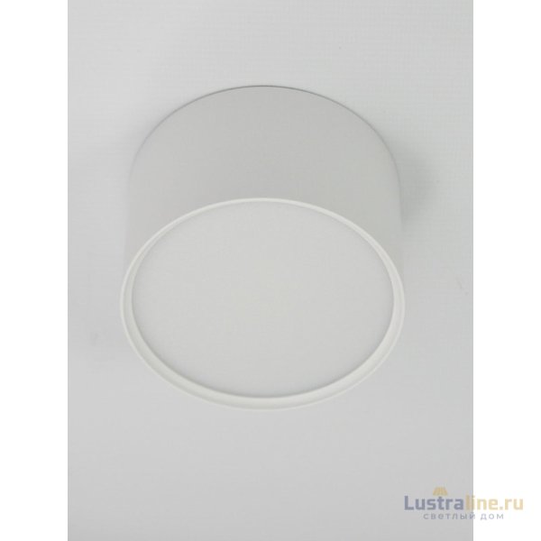 Накладной светильник Elvan NLS-2337-6W-WW-Wh