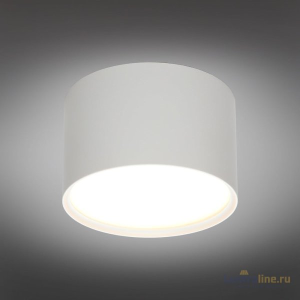 Накладной светильник Omnilux Abano OML-103309-06