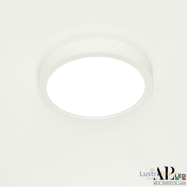 Накладной светильник Arte Perfetto Luce Ingrid 3322.LDY1604M/12W/6K Накладной светильник Arte Perfetto Luce Ingrid 3322.LDY1604M/12W/6K