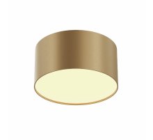 Накладной светильник Maytoni Zon C032CL-12W2.7K-RD-MG