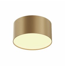 Накладной светильник Maytoni Zon C032CL-12W2.7K-RD-MG