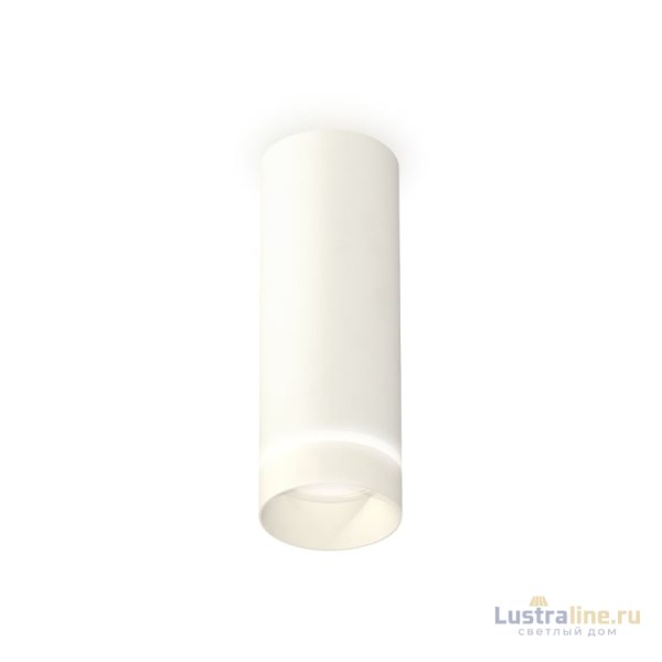 Потолочный светильник Ambrella Light Techno Spot XS6342041 (C6342, N6228) Потолочный светильник Ambrella Light Techno Spot XS6342041 (C6342, N6228)