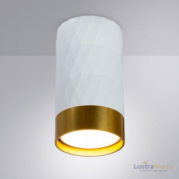 Накладной светильник Arte Lamp Fang A5558PL-1WH