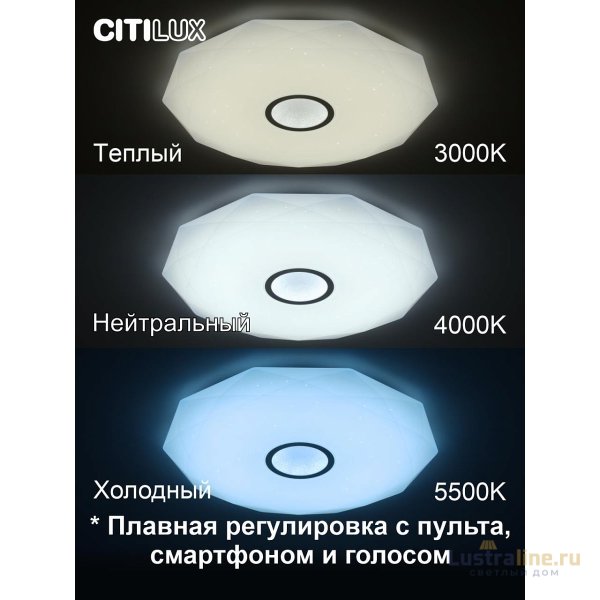 Накладной светильник Citilux CL713A100G Накладной светильник Citilux CL713A100G