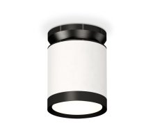 Потолочный светильник Ambrella Light Techno Spot XS8141020 (N8902, C8141, N8113)