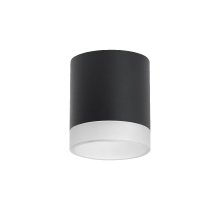 Накладной светильник Lightstar Rullo (213487+202480) R348780