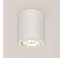 Потолочный светильник Citilux Дюрен CL538111